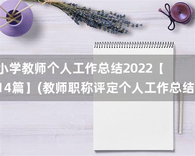 小学教师个人工作总结2022【14篇】(教师职称评定个人工作总结)